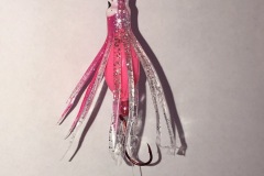 Pink-Fuscia